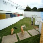 Hotel Para Cães