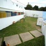 Hotel Para Cães