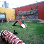 Hotel Para Cães