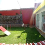 Hotel Para Cães