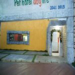 Hotel Para Cães