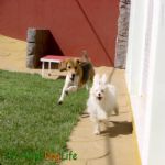 Creche (day Care)