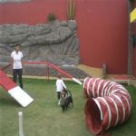 Creche (day Care)