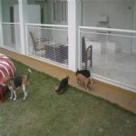 Creche (day Care)