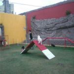 Creche (day Care)