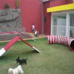 Creche (day Care)