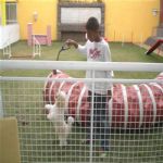 Creche (day Care)