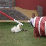 Creche (day Care)