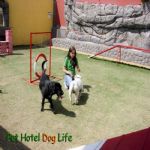 Creche (day Care)