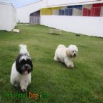 Creche (day Care)