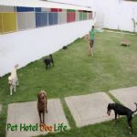 Creche (day Care)