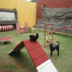 Creche (day Care)