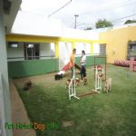 Creche (day Care)