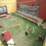 Creche (day Care)