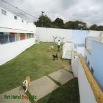 Creche (day Care)
