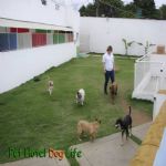 Creche (day Care)