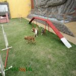 Creche (day Care)