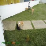 Creche (day Care)