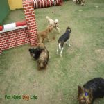 Creche (day Care)