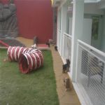 Creche (day Care)