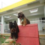 Creche (day Care)