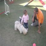 Creche (day Care)