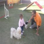Creche (day Care)