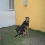 Creche (day Care)