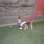 Creche (day Care)