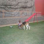 Creche (day Care)