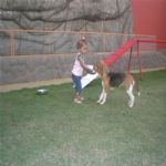 Creche (day Care)