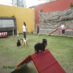 Creche (day Care)