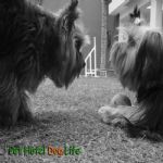 Creche (day Care)