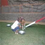 Creche (day Care)