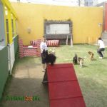 Creche (day Care)