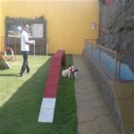 Creche (day Care)