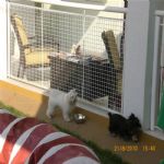 Creche (day Care)