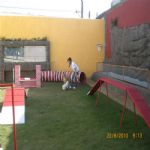 Creche (day Care)