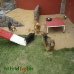 Creche (day Care)