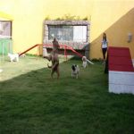 Creche (day Care)
