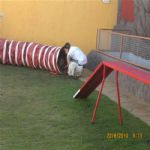 Creche (day Care)