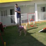 Creche (day Care)