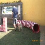 Creche (day Care)