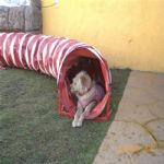 Creche (day Care)