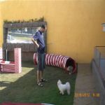 Creche (day Care)