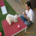 Creche (day Care)