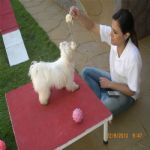 Creche (day Care)