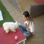 Creche (day Care)