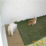 Creche (day Care)