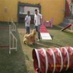Creche (day Care)